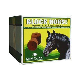 Block Horse - qualitypro