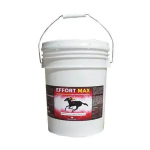 Effort Max - qualitypro