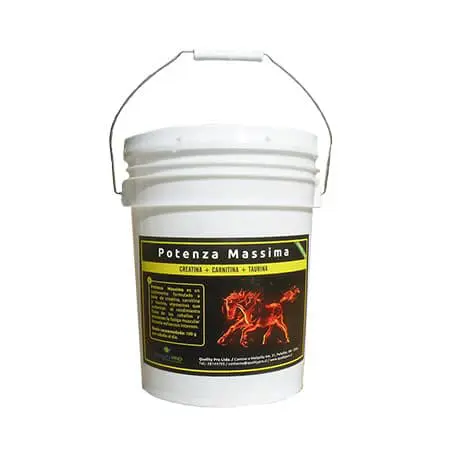 Potenza Massima - qualitypro